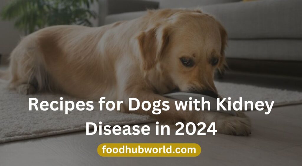 Recipes for Dogs with Kidney Disease in 2024